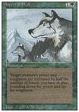 Aspect of Wolf